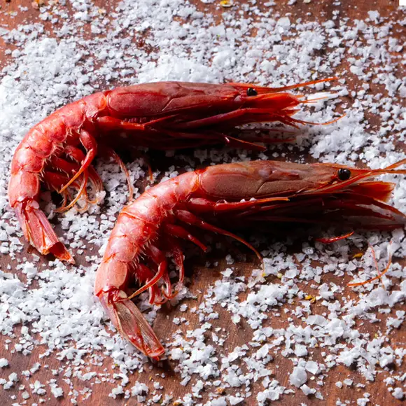 Sea Prawn
